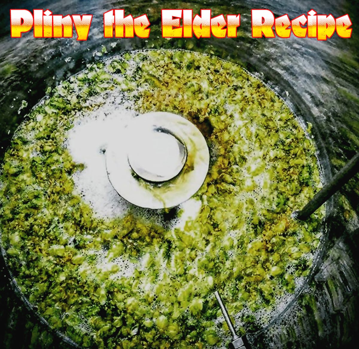 Pliny The Elder All Grain Home Brewing